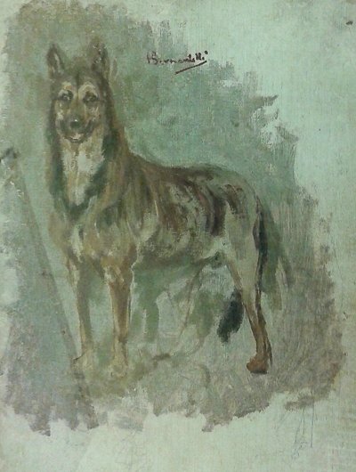 Study of an Animal (Dog) by Henrique Bernardelli